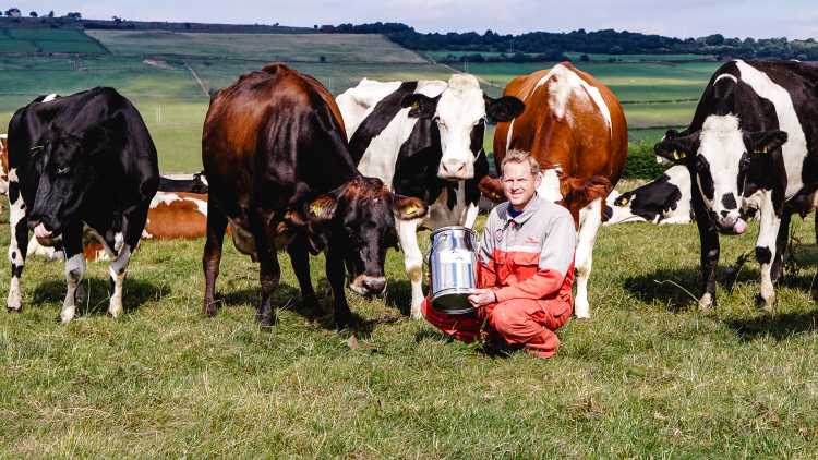 Our Cow Molly