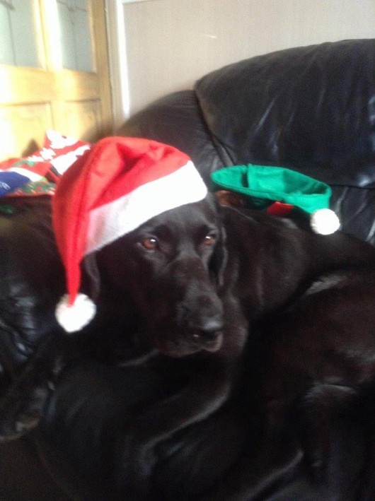 Not impressed