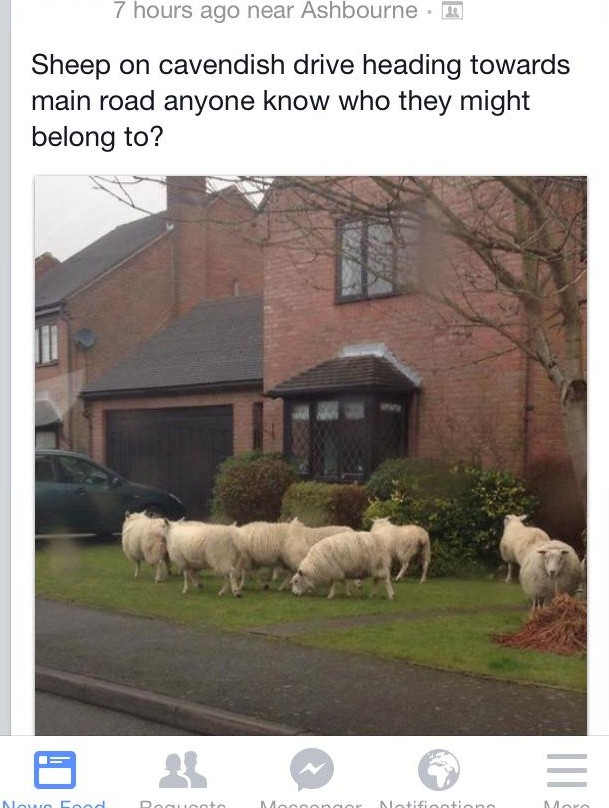 bigger issues than integration