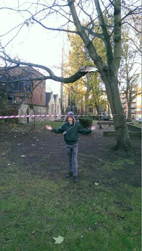 tree 2