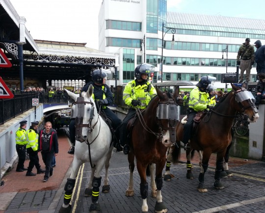 There's gonna be NEIGH trouble with these beasts around