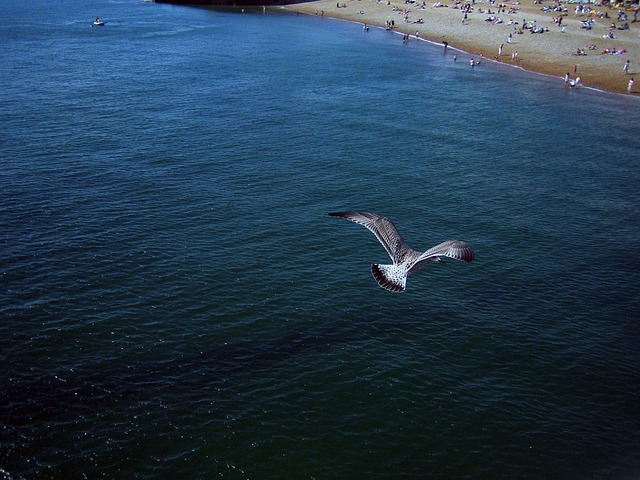 brighton-70475_640