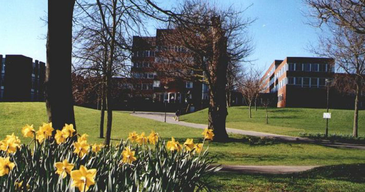 University_of_Sussex_Campus_1