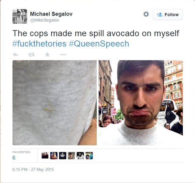Segalov avacado
