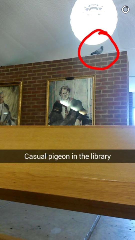 Snapchat famous