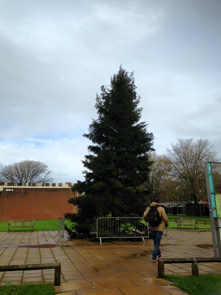 tree2