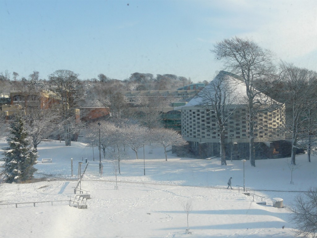 P1010116