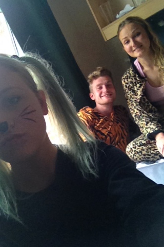 dressing up like animals is acceptable in Brighton