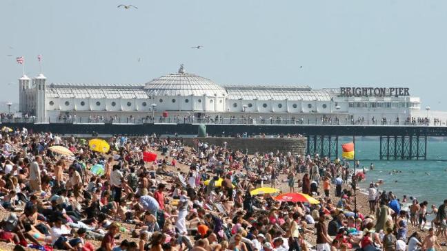 beachii