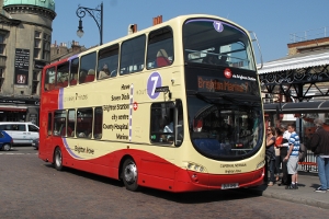 bus