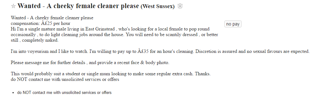 female-sexy-cleaner1