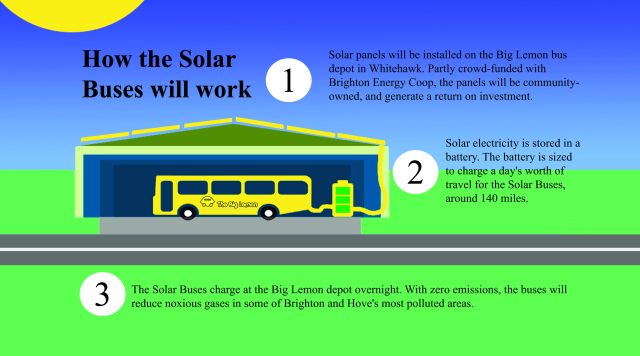 infographic-for-bh-independent-1