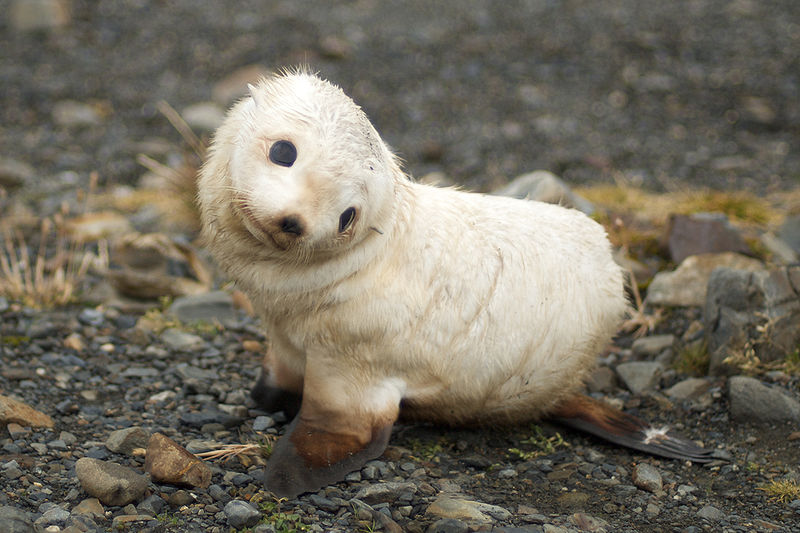 So cute.