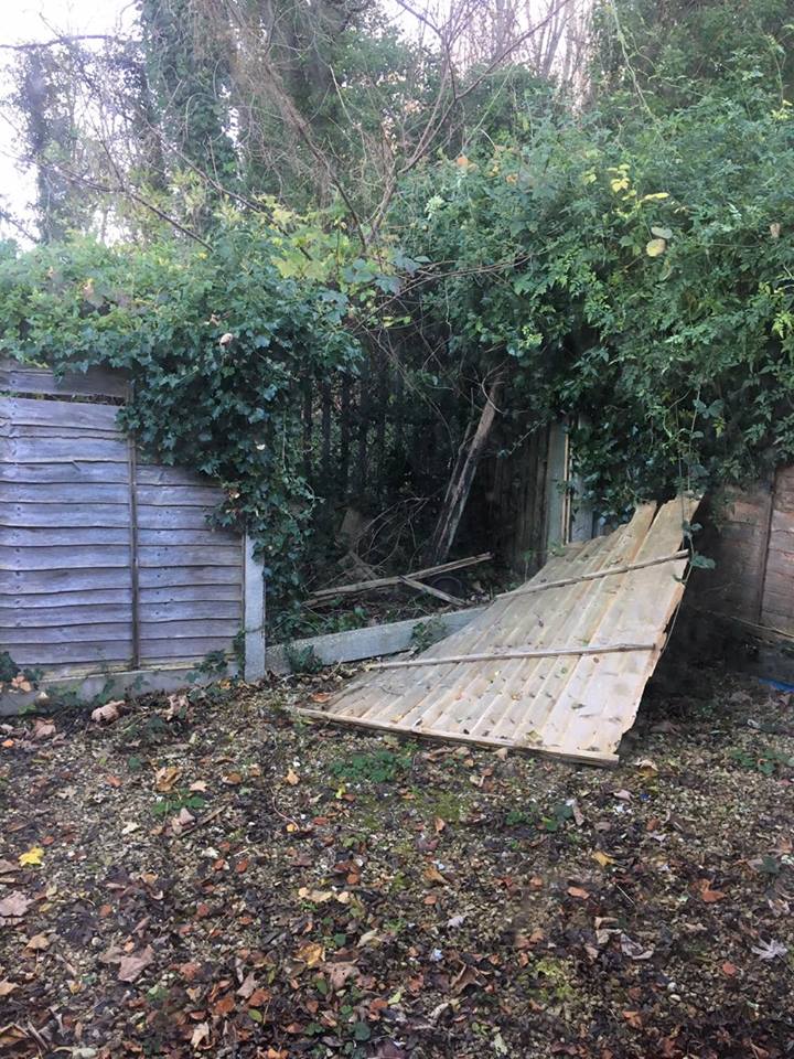 fence