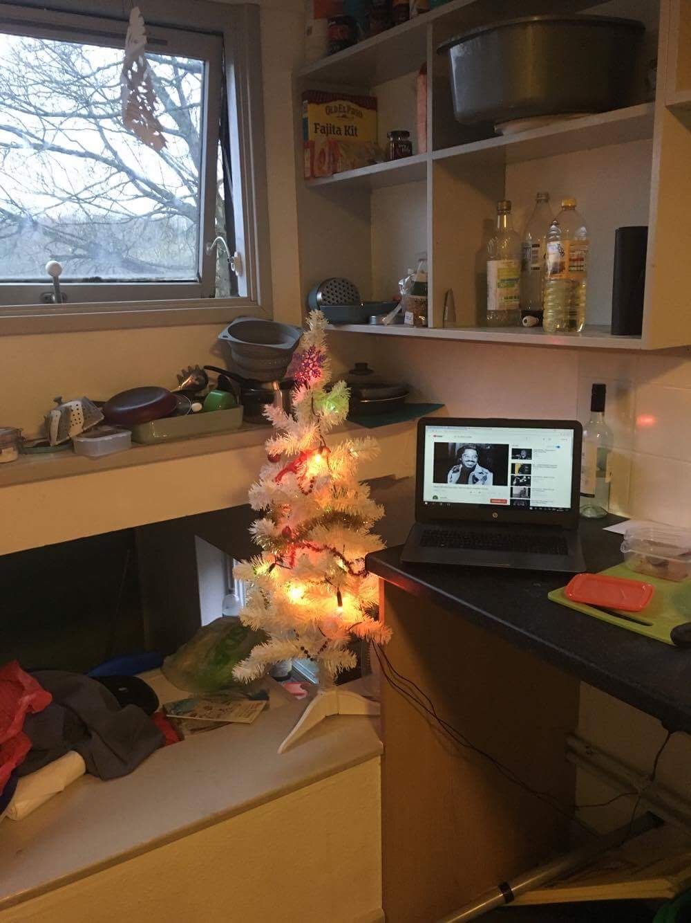 Image may contain: Oven, Microwave, Electrical Device, Appliance, Vase, Pottery, Potted Plant, Plant, Jar, Flora, Pc, Laptop, Electronics, Computer, Bowl