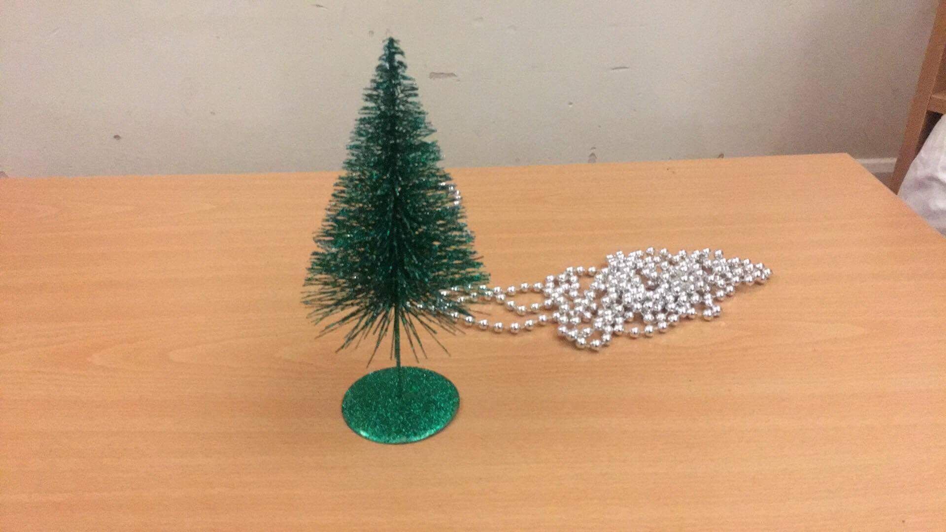 Image may contain: Tree, Plant, Flora, Fir, Conifer, Abies