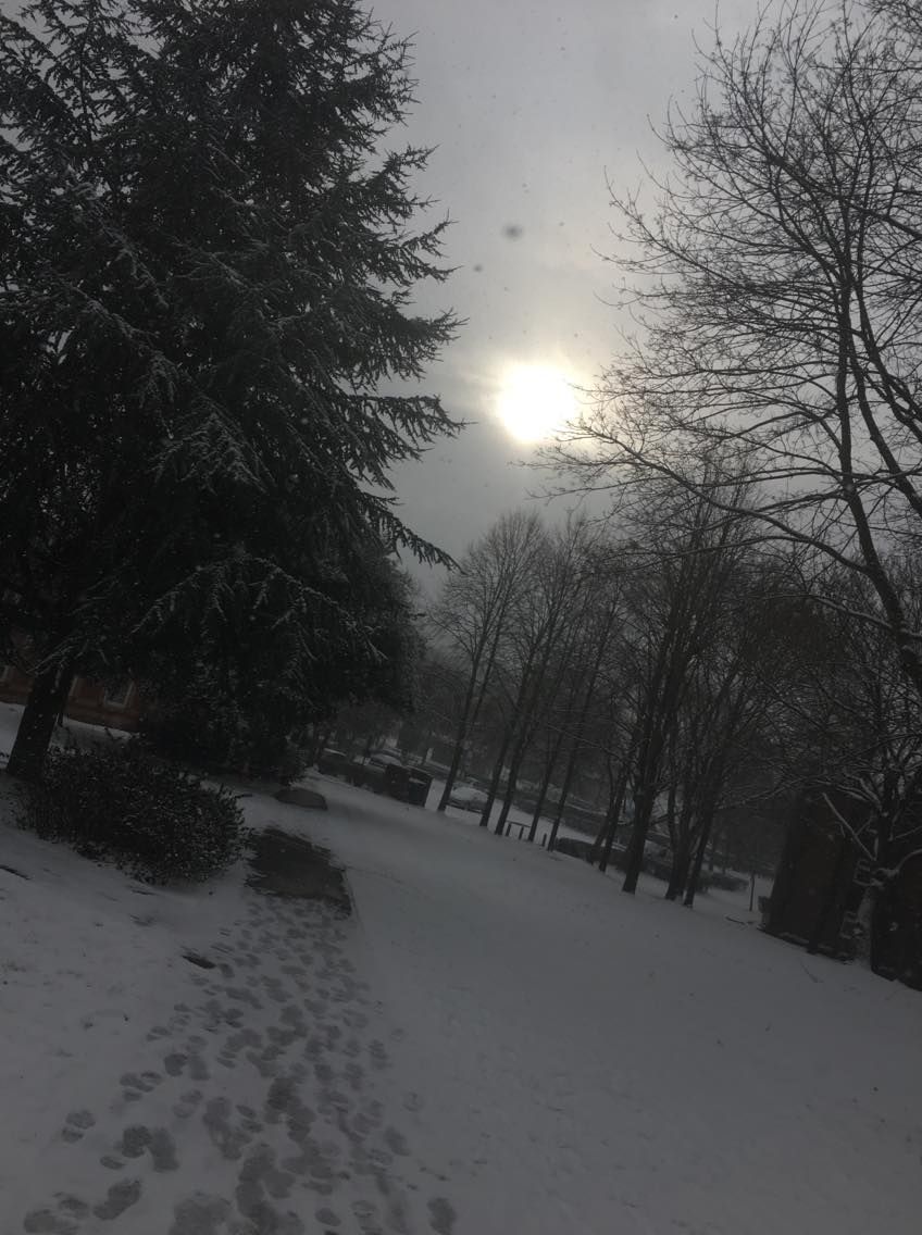 Image may contain: Snow, Outdoors
