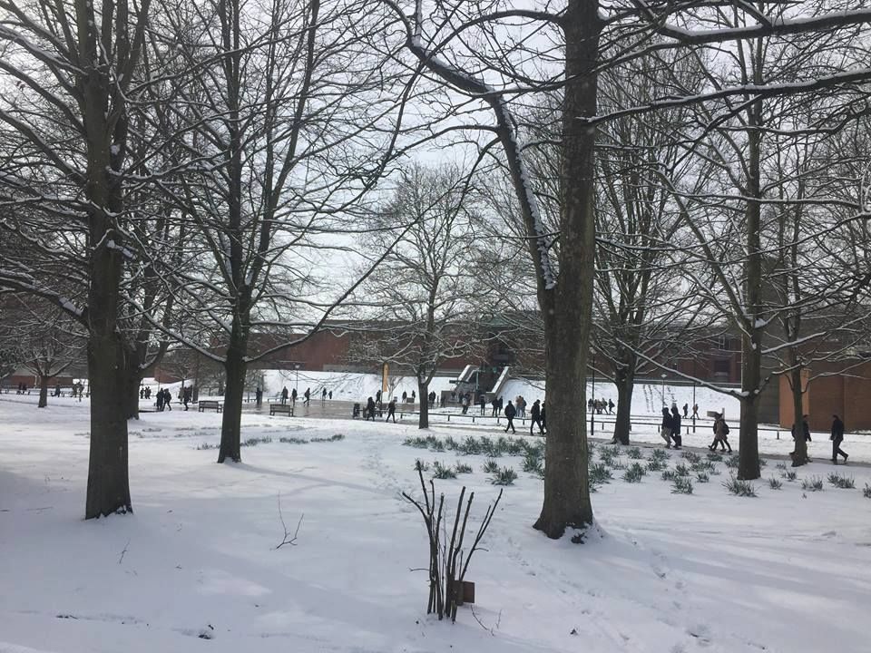 Image may contain: Snow, Outdoors