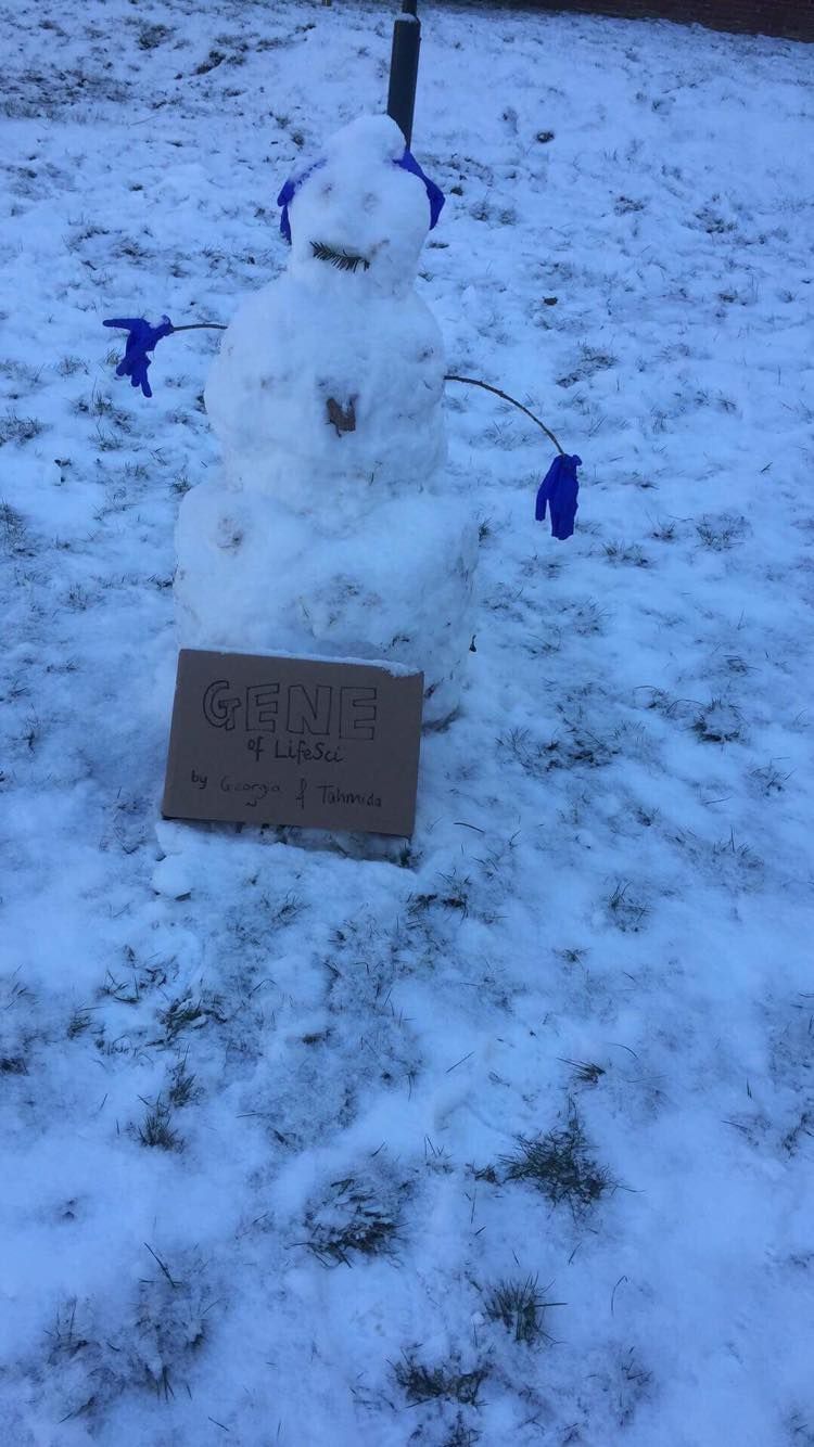 Image may contain: Winter, Snowman, Snow, Outdoors