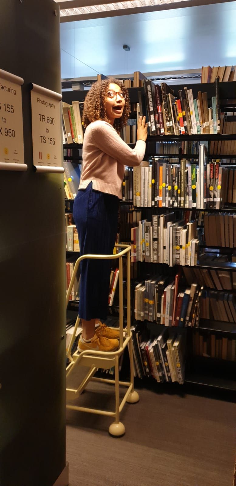 Image may contain: Chair, Bookcase, Shelf, Furniture, Library, Book, Human, Person, Room, Indoors
