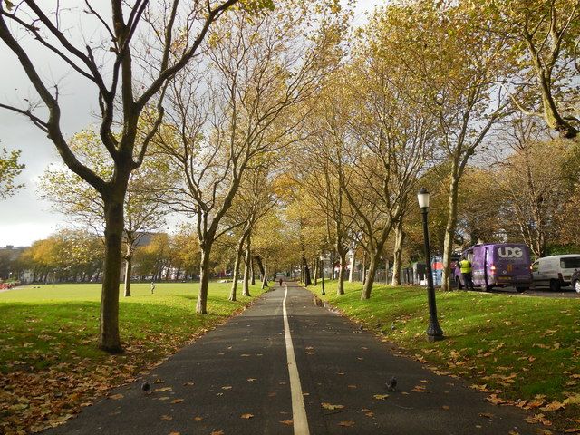 Image may contain: City, Building, Town, Street, Highway, Freeway, Urban, Tree, Plant, Path, Human, Person, Asphalt, Tarmac, Road