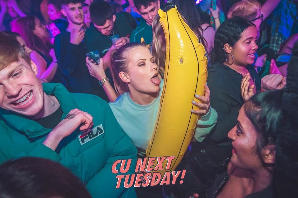 Image may contain: Night Life, Face, Night Club, Plant, Club, Party, Human, Person