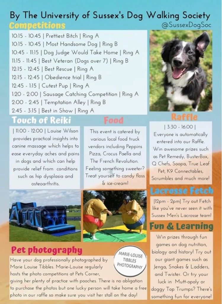 Image may contain: Human, Person, Canine, Mammal, Dog, Pet, Animal, Paper, Brochure, Poster, Advertisement, Flyer