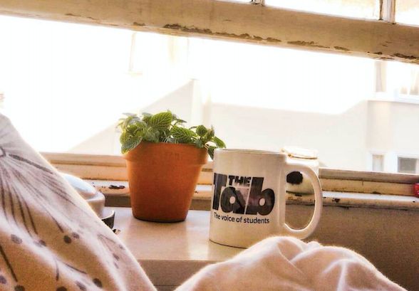 Image may contain: Person, Human, Pottery, Vase, Potted Plant, Plant, Jar, Cup, Coffee Cup