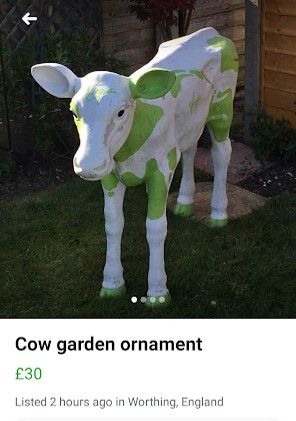 Image may contain: Mammal, Cattle, Animal, Cow