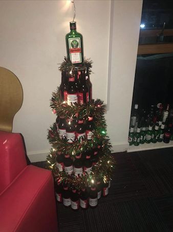 Image may contain: Plant, Ornament, Christmas Tree, Tree