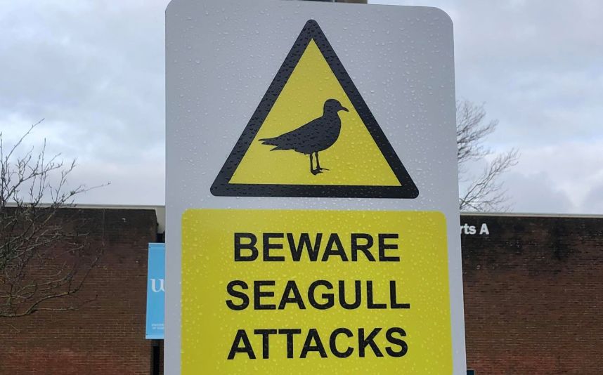 Image may contain: Sign, Road Sign, Symbol, Animal, Bird