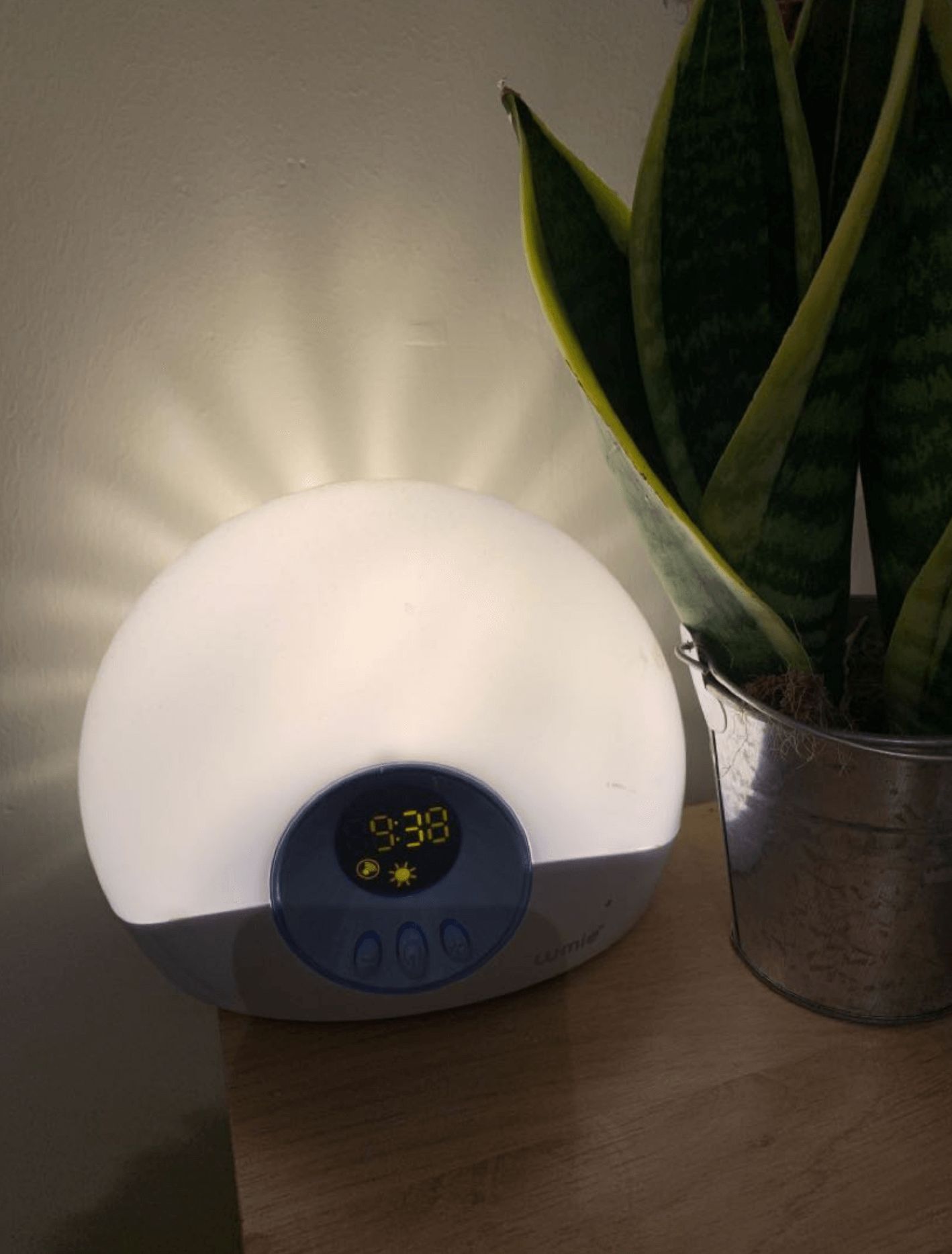 Image may contain: Hardware, Mouse, Computer, Electronics, Aloe, Food, Egg, Plant