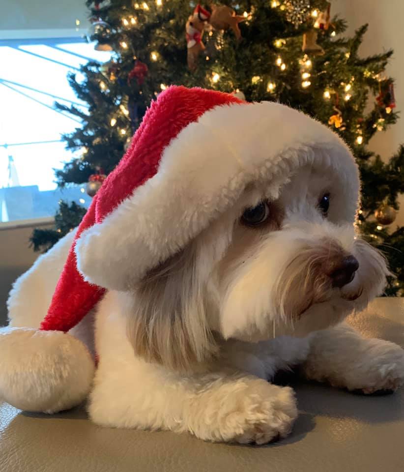 Tilly