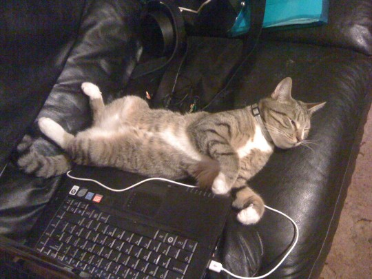 Smart drugs didn't make Phil anymore inclined to complete his novel