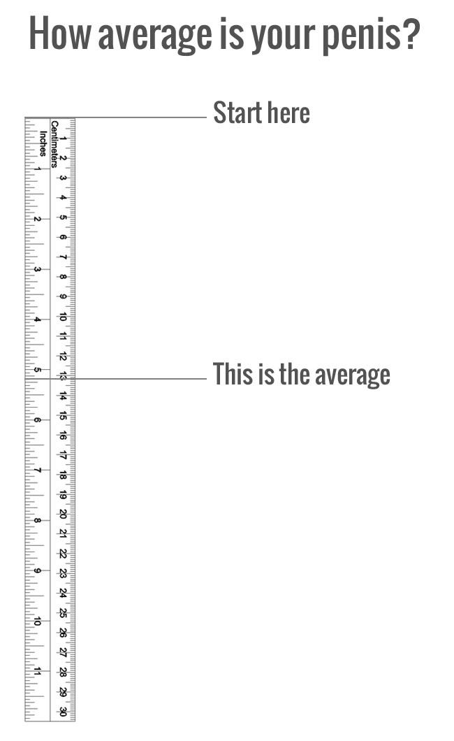 penis measure