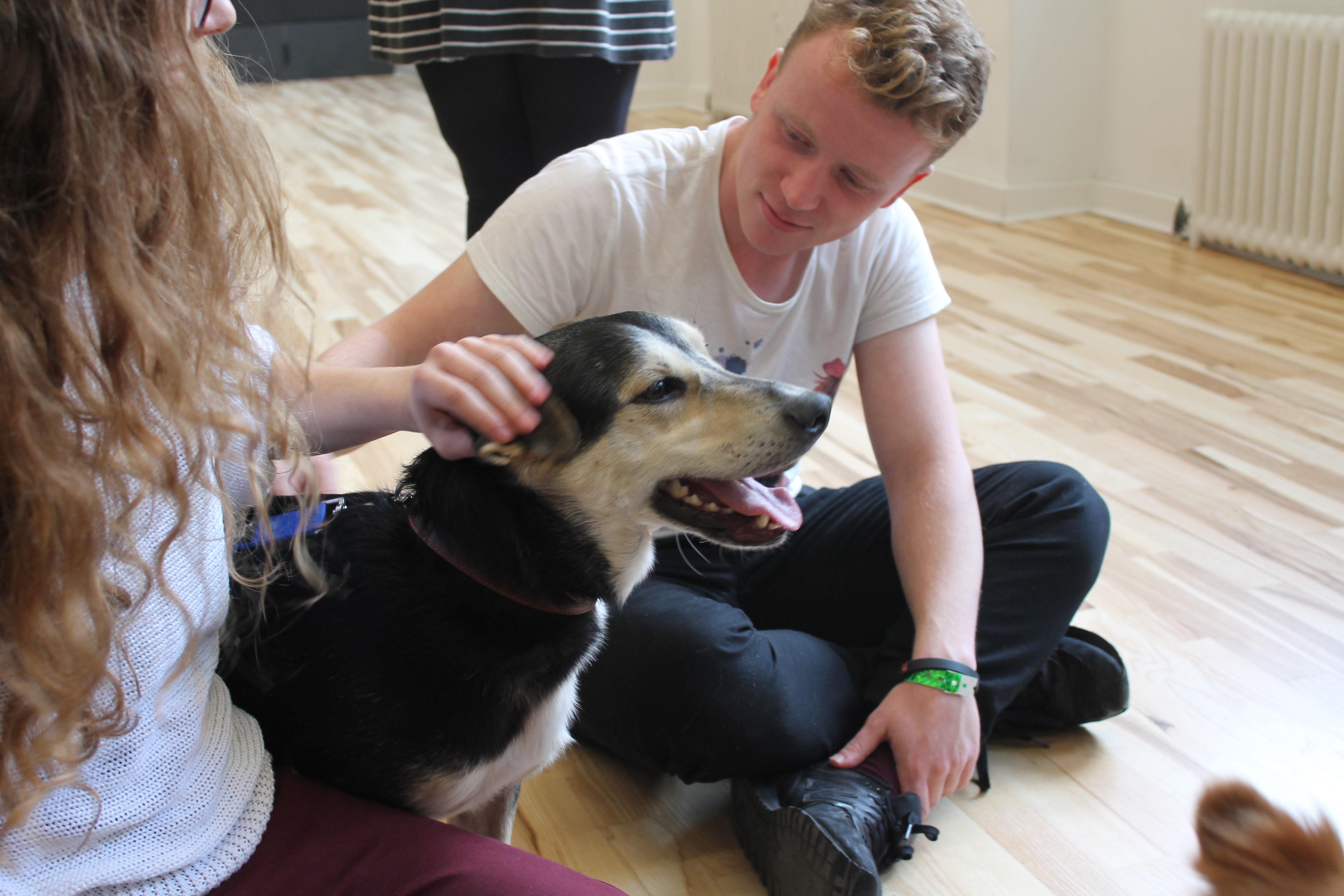 Even the dogs were de-stressing while enjoying the cuddles..