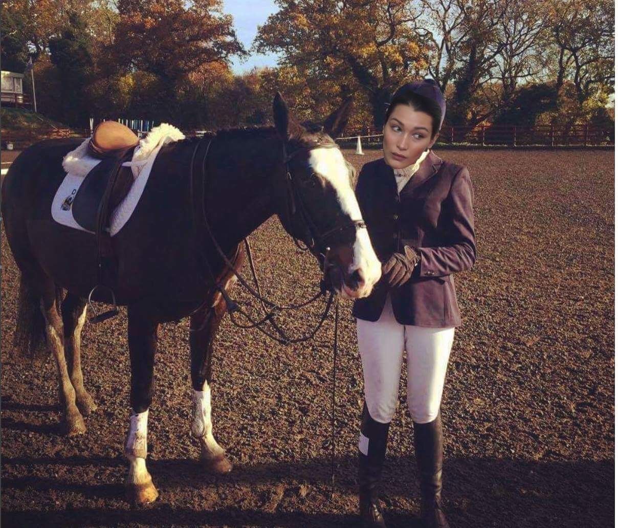 Image may contain: Mammal, Horse, Equestrian, Animal, Person, People, Human