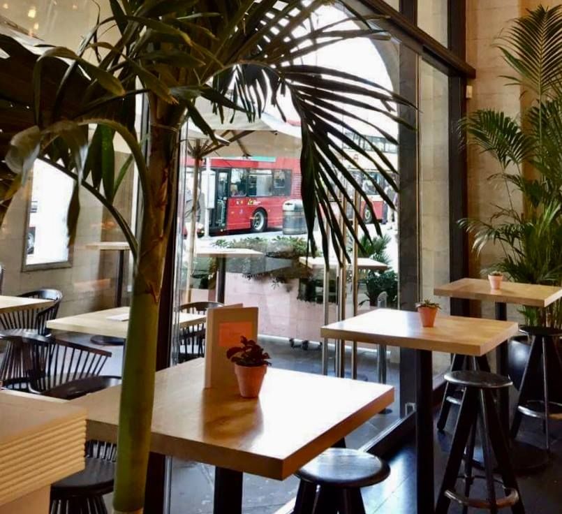 Image may contain: Balcony, Chair, Bench, Vehicle, Transportation, Bus, Table, Furniture, Dining Table, Cafe, Restaurant, Vase, Pottery, Potted Plant, Plant, Jar, Flora