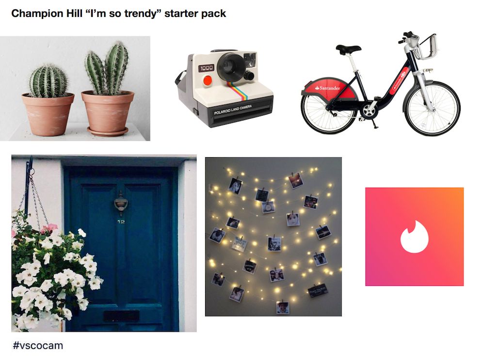 Image may contain: Ornament, Flower Arrangement, Flower, Blossom, Mountain Bike, Bike, Bicycle, Vehicle, Tricycle, Transportation, Poster, Collage, Plant, Flora, Cactus