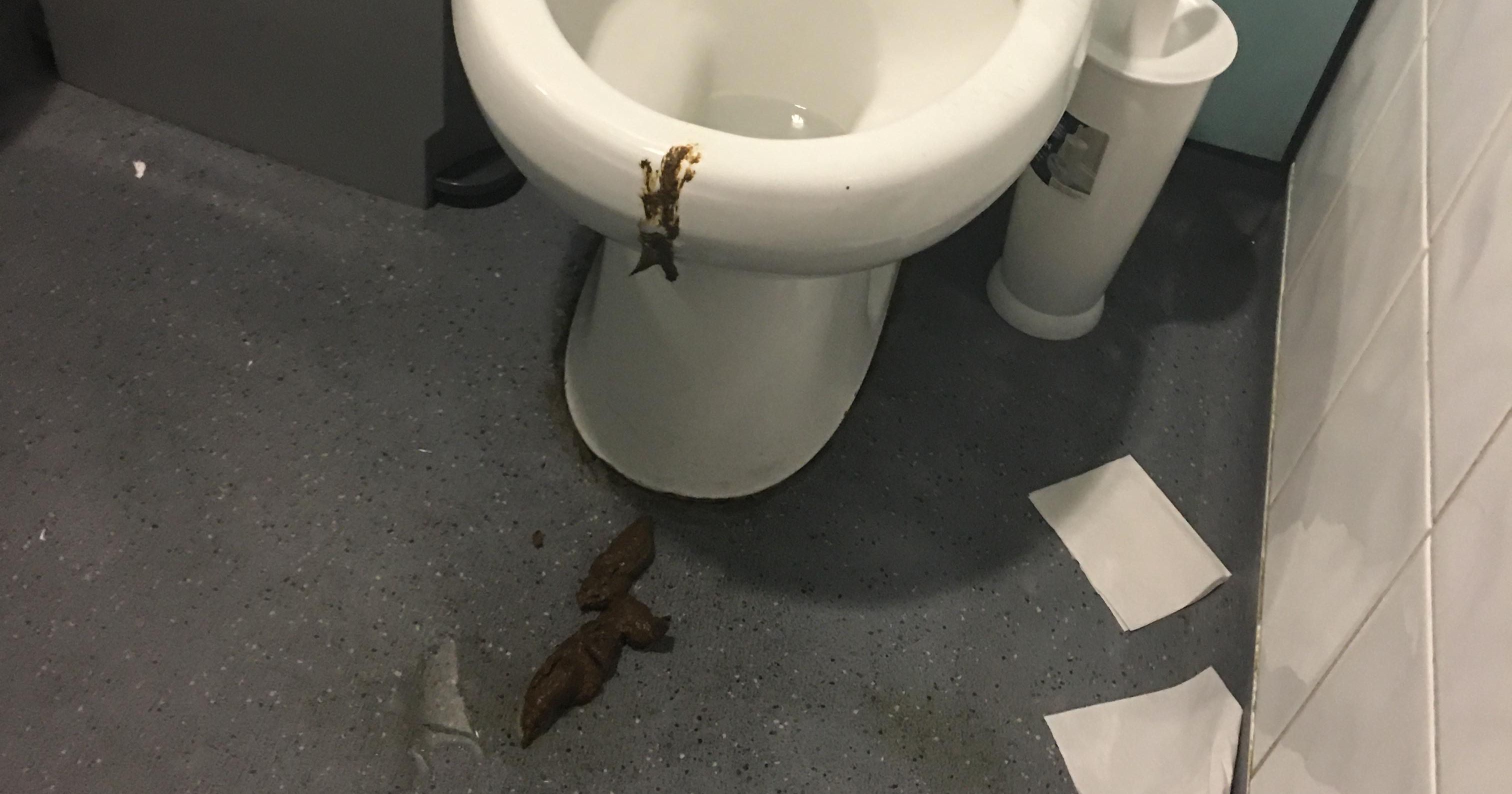 Image may contain: Paper, Bathroom, Toilet, Indoors, Room