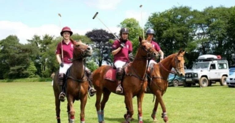 Image may contain: Polo, Team Sport, Team, Sports, Sport, People, Person, Equestrian, Human, Animal, Horse, Mammal