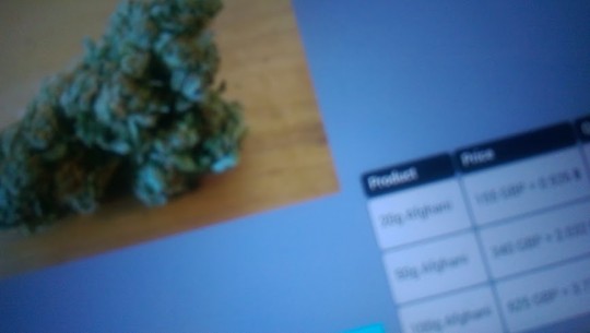 bud