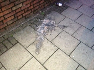 tiverton1