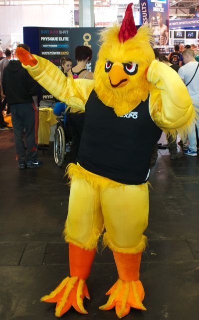 Who are you calling chicken?