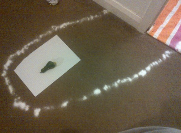 The cucumber trap