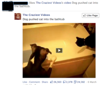 Get off my newsfeed immediately 