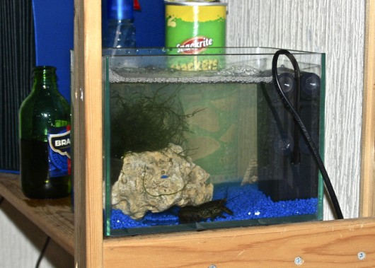 _MG_5400