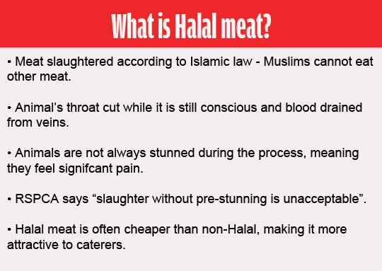 what is halal