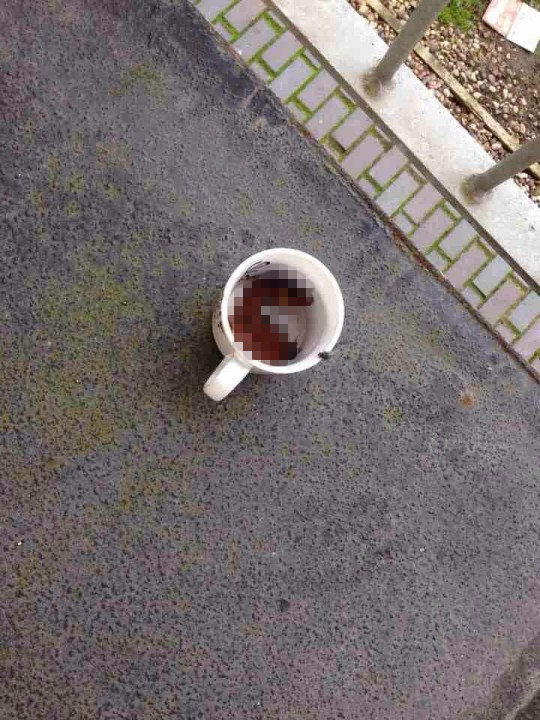 poo
