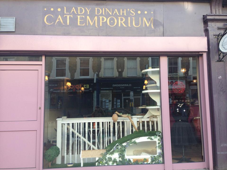 Cat cafés are popping up all over the country, including in the capital